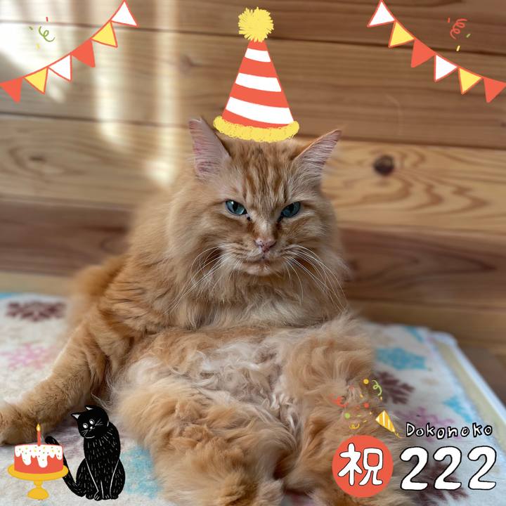 47412eef a831 429a a859 741f8d937821 1645524794519