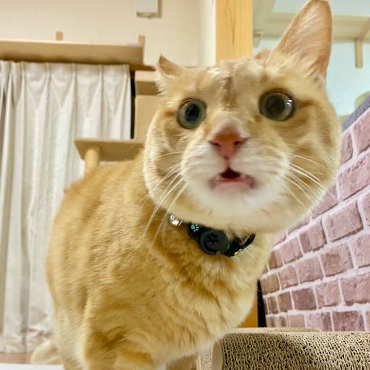 47417dda 542b 4c19 8b5a 36dbbb8aafb3 1695727820496