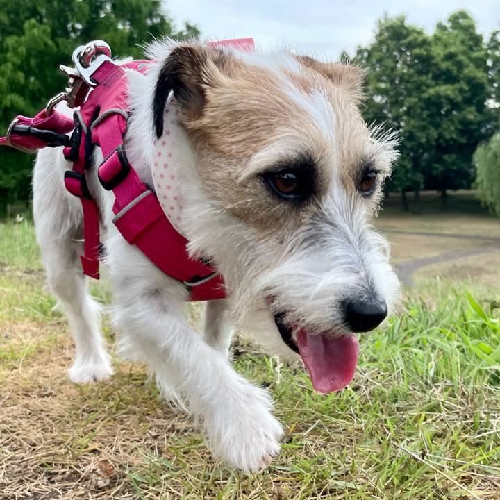 4741b502 3e84 4c54 a063 837a8ed77195 1656924947909