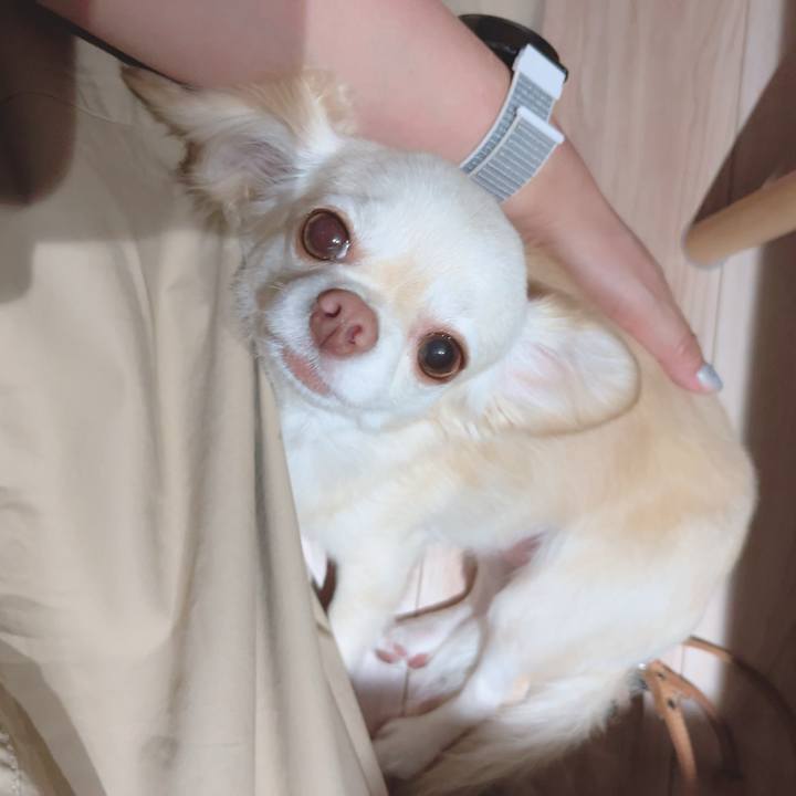 4741bb17 511d 4f36 a359 cda006ce354d 1690197105726