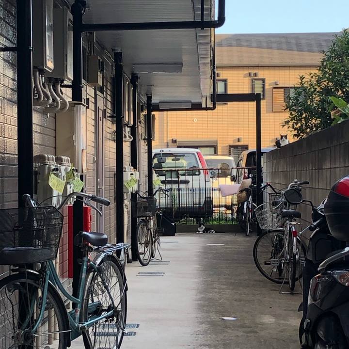 4741d6d6 d057 4338 a4b4 58b8ac9cae38 1565553412034