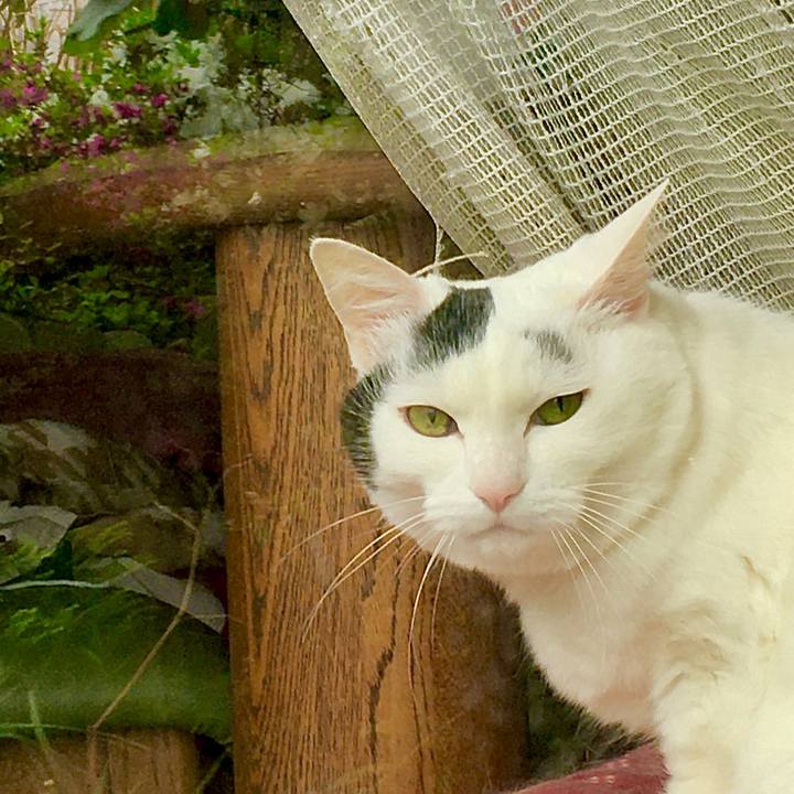 4741e1b7 2c51 4b4e b265 ccaf4525adf6 1589686369202