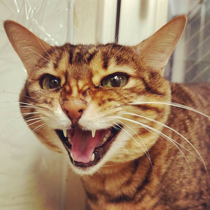 4741f05b e340 4c41 987f 2bca51b7d55c 1635289601433