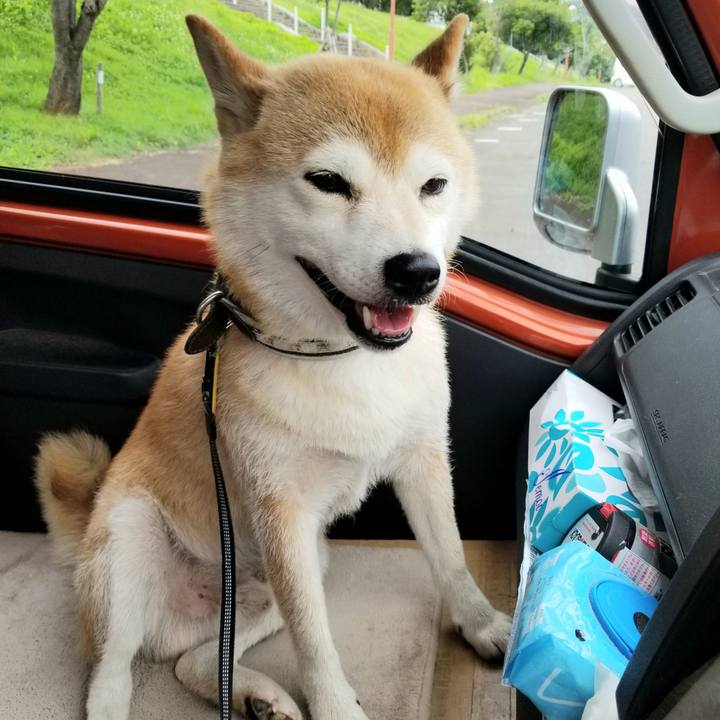 47420840 b135 45f5 a8da 394a7ce329a4 1595400974909