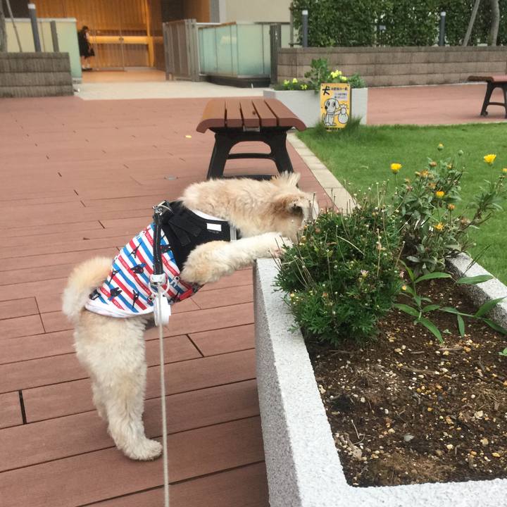 4742569b 0950 41c4 b482 398ca8de95b6 1536757876065