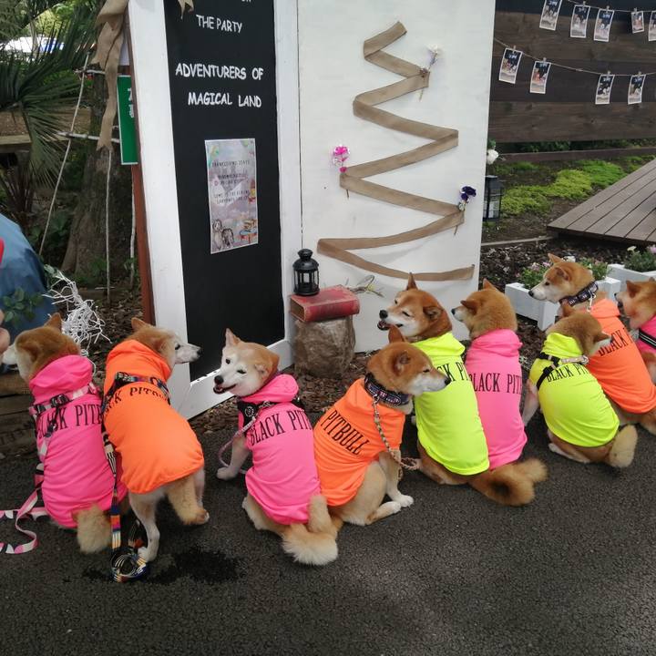 47426e40 e8cc 4360 901a 7afa8cf55953 1685415614508