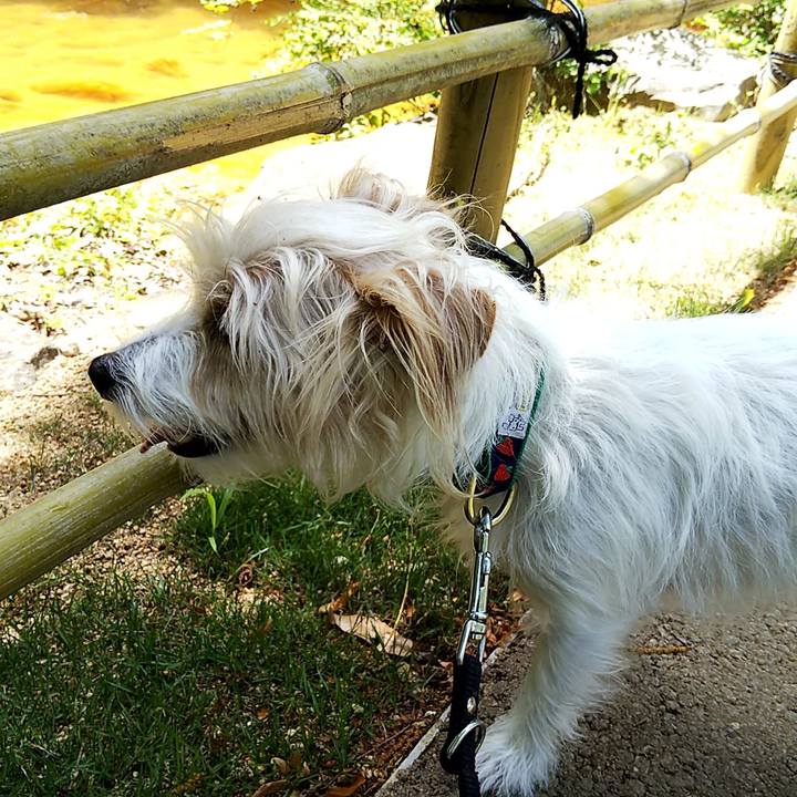 474277a6 8725 4007 9ef4 ac700f76a27d 1558250106584