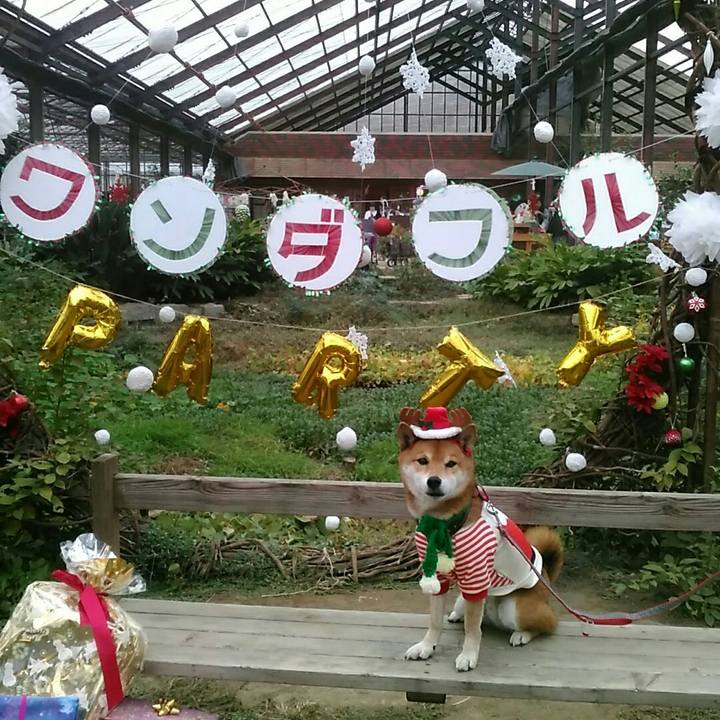 4742ae70 e852 4469 92cf 31833fd86818 1577003215430