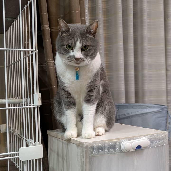 4742be48 e665 4b07 8f31 5553995698d6 1745320991654