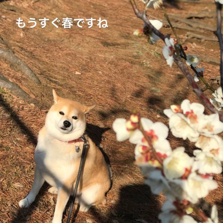 4742cdce a8b9 4d23 bf6d c469204154d6 1551492248387