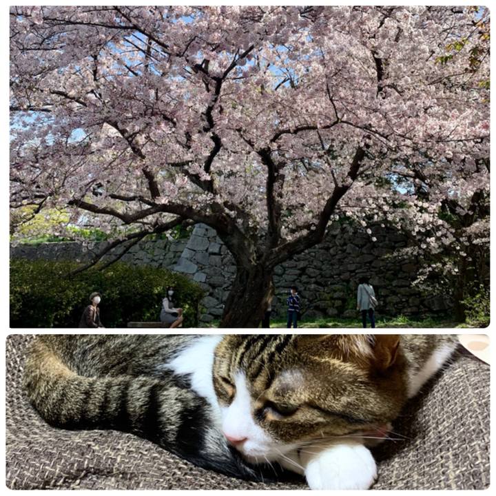 4742fb25 0e75 49b0 b163 6f5c0e18f516 1616843329032