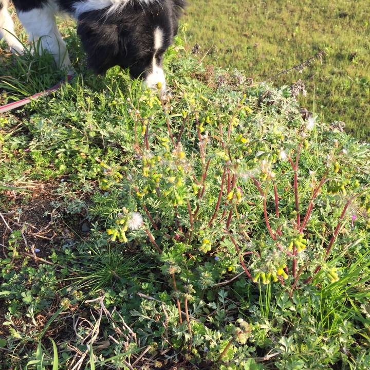 47433a9c 3e8e 43ba 991b 622f81daeb20 1583882578934