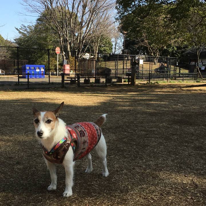 474375fd ce44 42b7 b2d6 8115537ed0c1 1582506873768