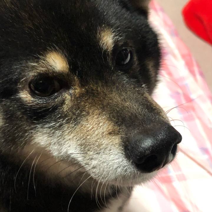 47439194 f06b 42d2 801a 9113c92b41b2 1579426986061