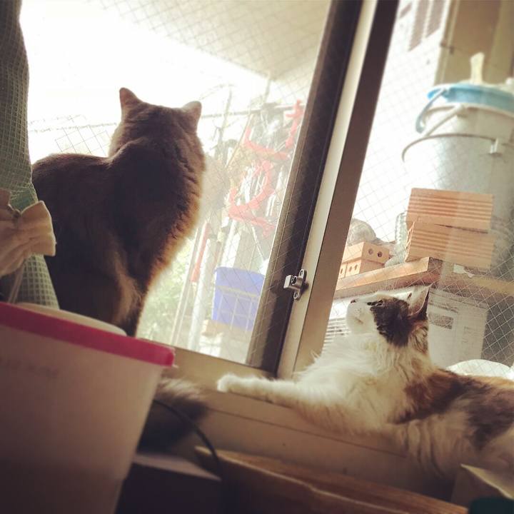 4743995b dadf 4a77 b119 e694b20f0535 1536448074245