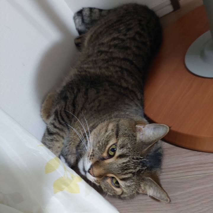 4743afd7 3140 4269 acde 65eb2ccd1ade 1661164956326