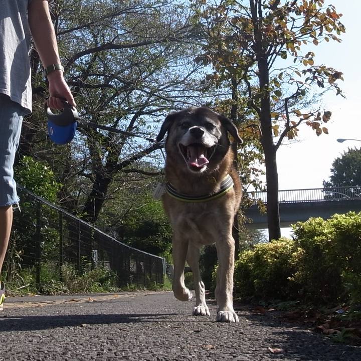 4743db8e 1b73 4a85 9c23 8f26129947ed 1590281975989