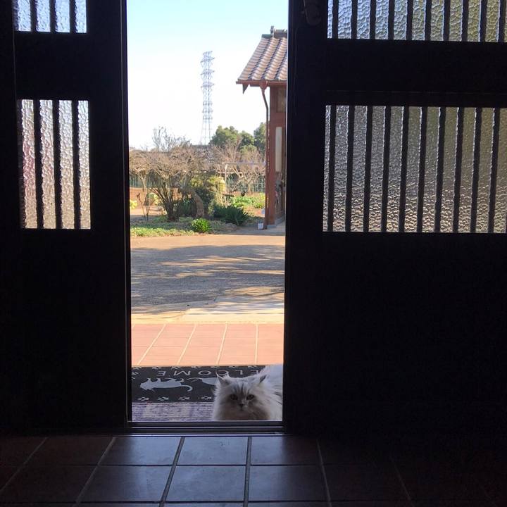 4743f626 c9e6 4988 95a3 05e63689ec04 1585133695903