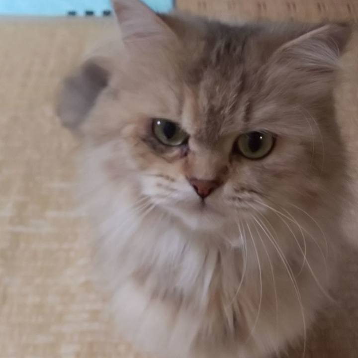 47440574 b06e 4d9d 91a8 38150f14e0c8 1597366811268