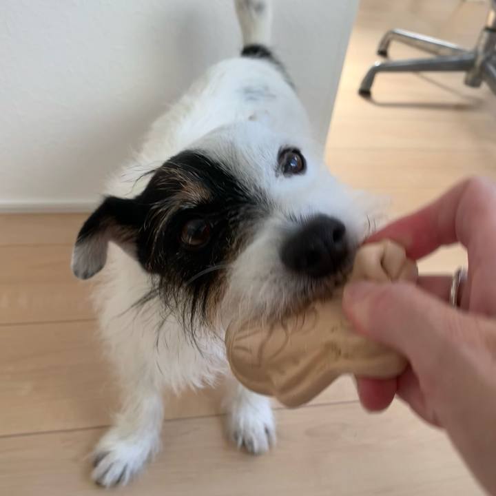 47440a3b dd71 4d72 9520 be006a9a242b 1692750446609