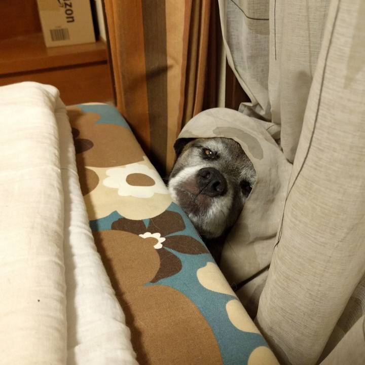 47440c13 d6cc 4238 9988 38f1de8303e7 1728951866680