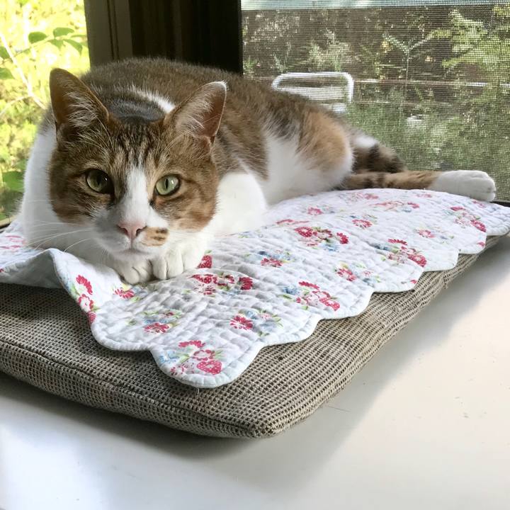 47446558 f041 469c 8838 64f8c8818a1e 1561004072167