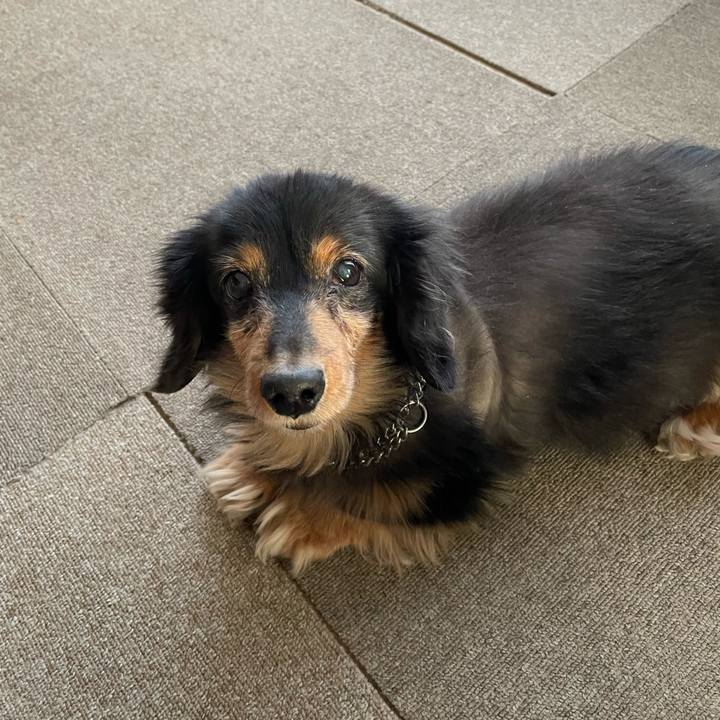 47448271 b0f5 4ce4 a4a7 7548f25a8690 1669847345538