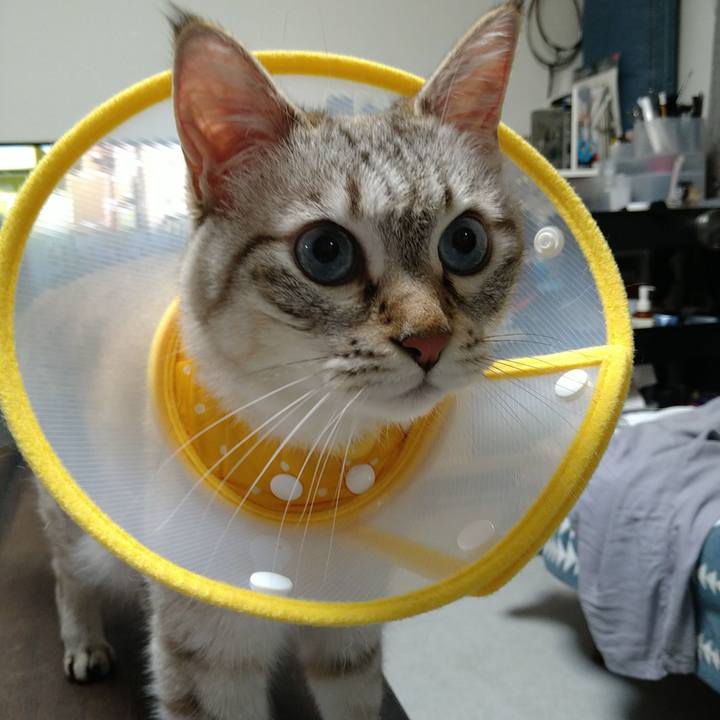 4744943b 2986 479b aeee f0ad9636973b 1728723023246