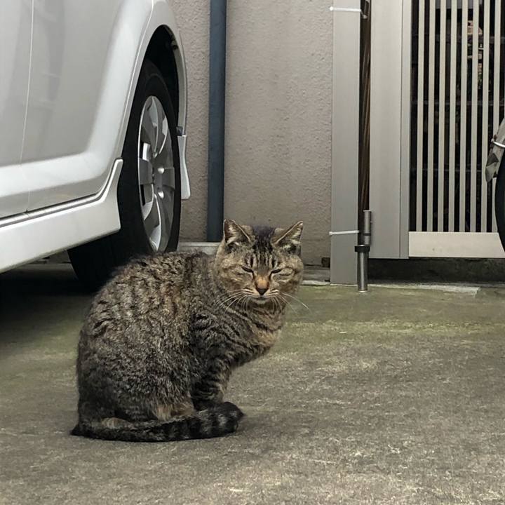 47449f1f fd34 4f94 8719 c410bfbb4e5e 1590479232369