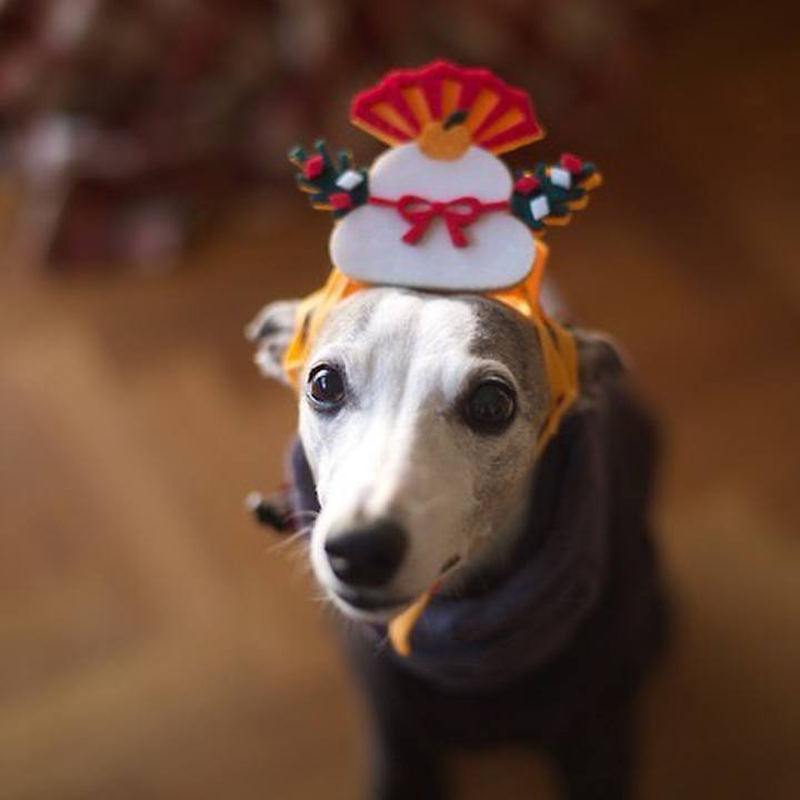 4744a27d 71dc 49aa 8600 67c067ad27b8 1546502892744