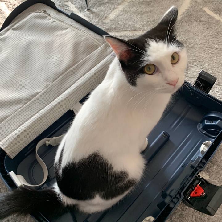 4744a8ef 1046 4b9c bbce 4ffc2661fac8 1565009370044