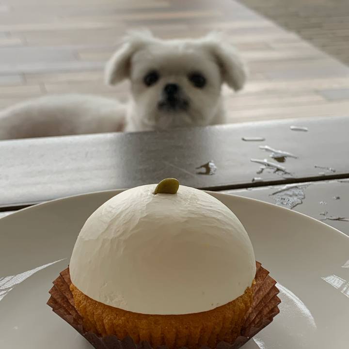 4744c488 0204 471c 97d3 eddccca33cca 1634373903995