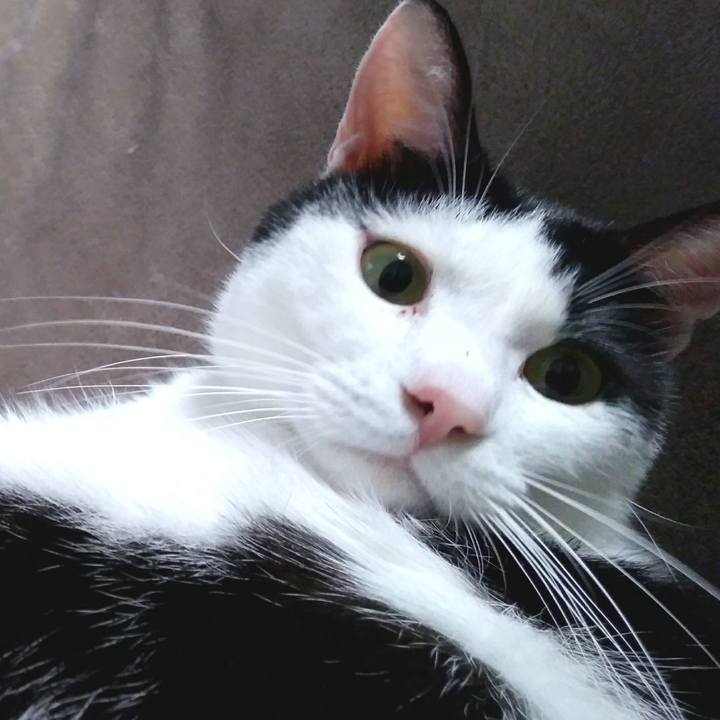 4744dadc 2691 44d8 9cfb b74118f3a0cd 1543324058948