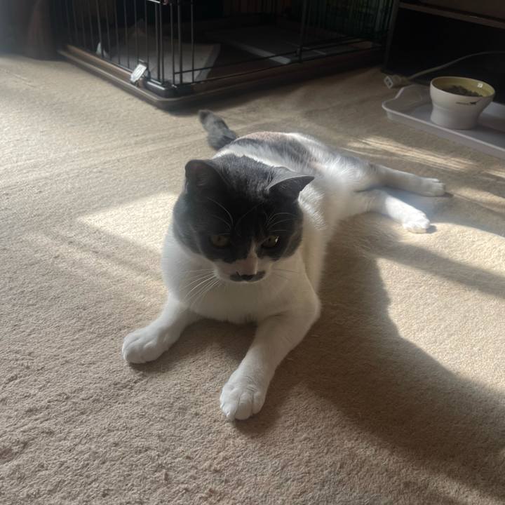 4744de70 14de 4385 bbd6 f89a9c1def67 1644629306185