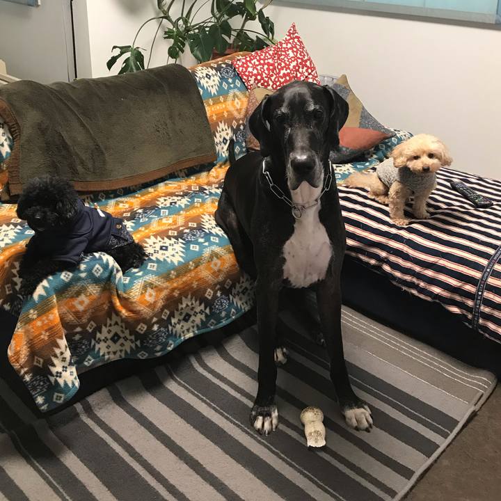 4744f98b c07a 4548 810f 187113e6e046 1542579869319