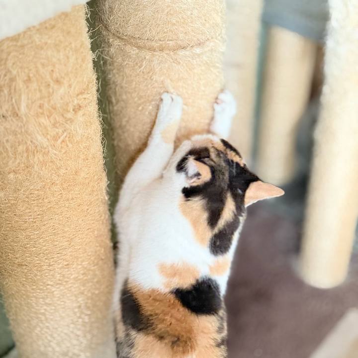 4745154c bd77 4f5e 9b36 7dcaac835ad2 1773885779600