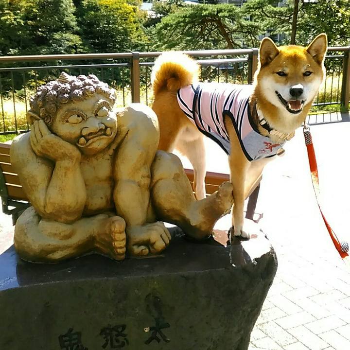 47454e3e f5af 4866 9336 cd5c93e3d6d1 1538907826514