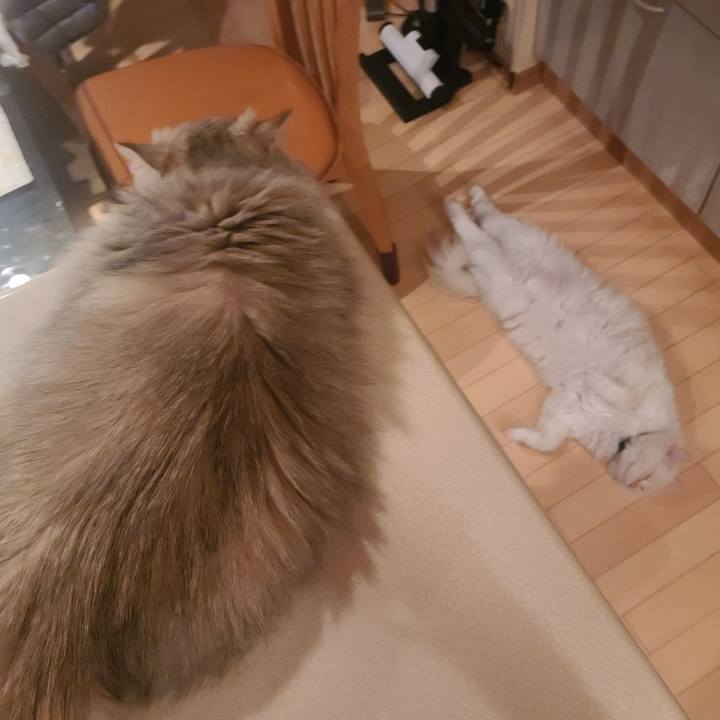 4745821a b6d6 49e8 9b31 bc73afd8b885 1684402034083