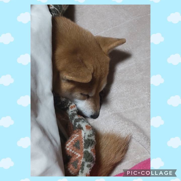 4745847e a71c 4e7c 9fce 4cb10b33aa3e 1737420657837