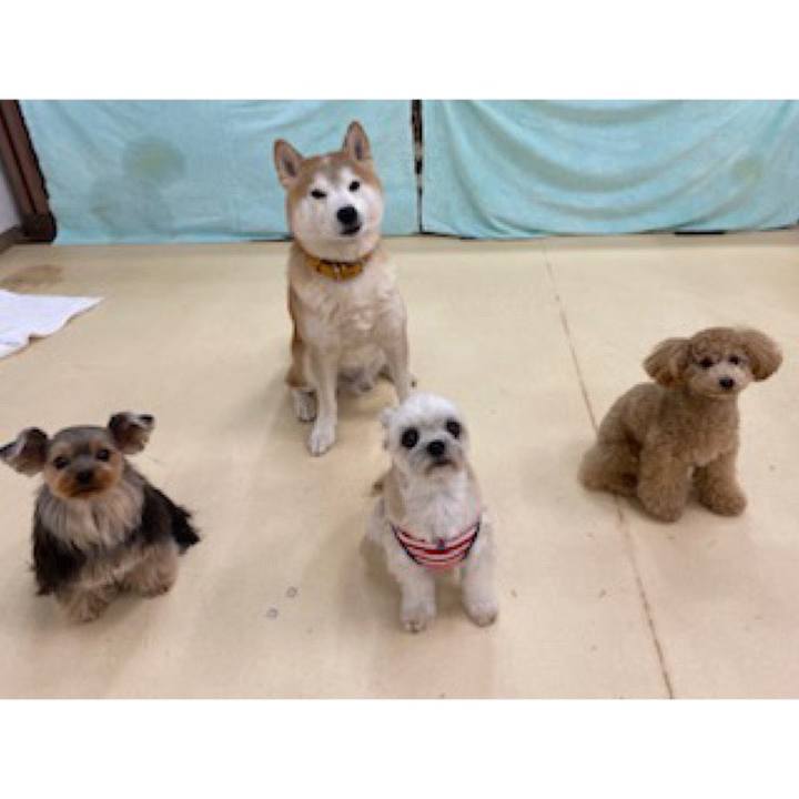 474586a0 a751 482e 9bed bbd05b57ade7 1581678928244