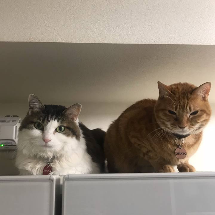 4745b2aa 811c 466a 9ce2 c1257109e73c 1559658913606