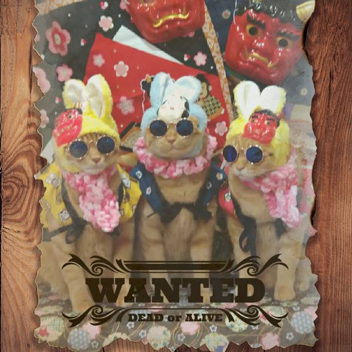 4745bc9e b49d 4c52 b6cc 328f7d93868c 1580637302057