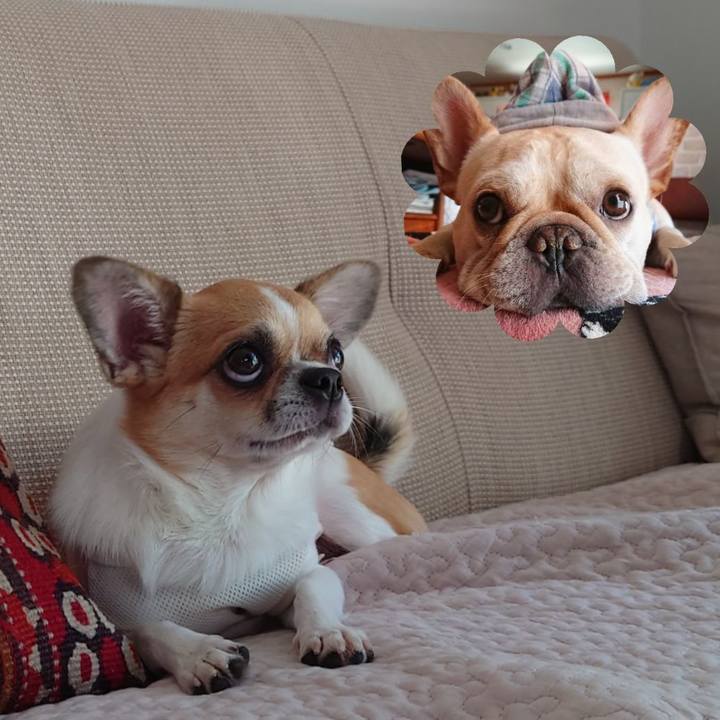 4745f54d 41ea 4c59 befa 24d05afcabe6 1634296810626