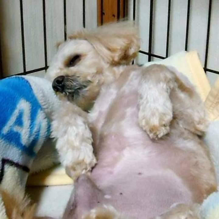 4745fa0d fbee 43c7 b37e 8e978575a94d 1577529127904