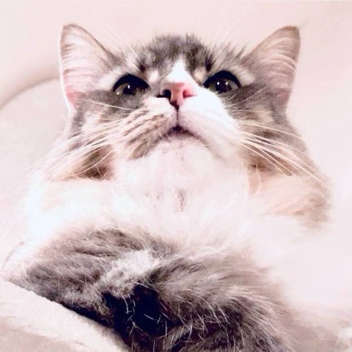 474603fe b1c6 464a b7a8 4d853caa225b 1765119747370