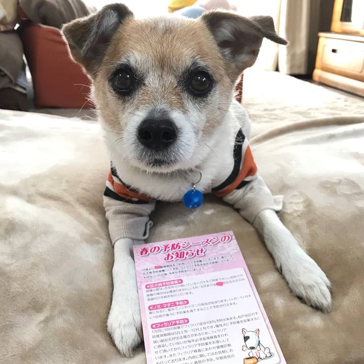 474618a5 f0e4 4eca 809f 7729def18795 1617347151015