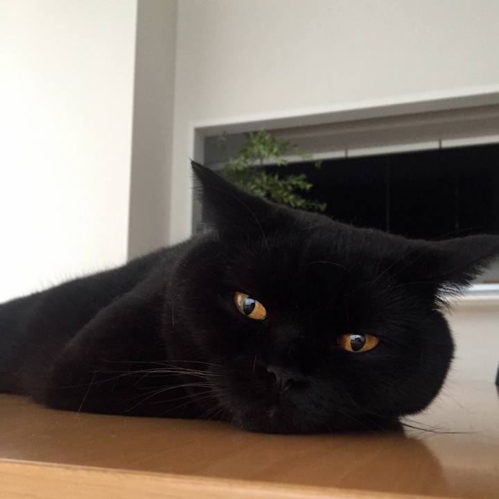 47464c36 46d8 419b 97f0 027d087c8f3c 1566865524233