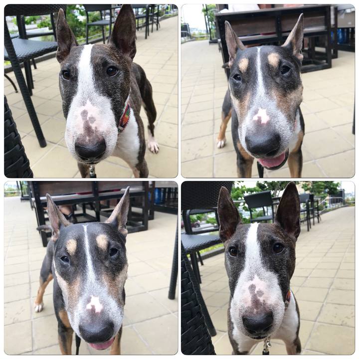 47465424 e698 480f 8ca9 afbb1747a52a 1525338410545