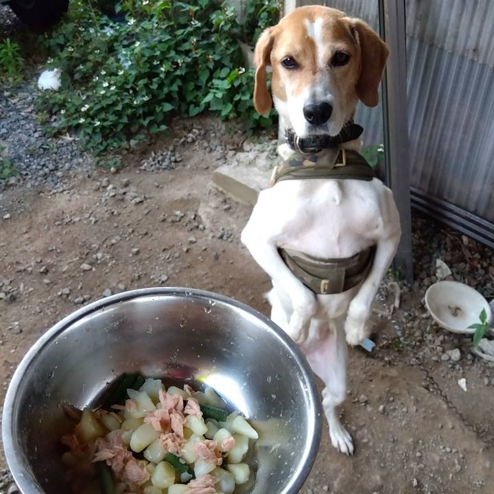 47466593 92e1 4848 9249 7a2254a44cdf 1687005791041