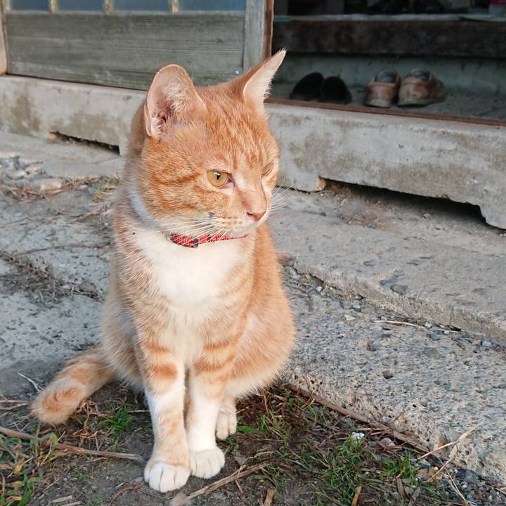 4746898e 1b2f 4f9d a08c 05d081c88bab 1569445915868